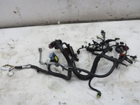 фото thumb №1, Джгут двигуна qashqai j10 1.5 dci 24011br02a