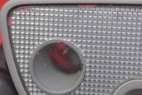 фото thumb №12, Лампа освещение салона задняя 9178936 volvo xc90 1 i 02-06