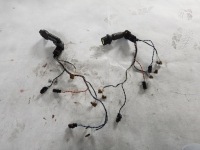 фото thumb №1, Електропроводка джгут форсунок daf xf 106 e6 mx 13