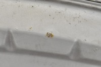 фото thumb №9, Ford focus ii mk2 капот крышка отсек двигателя lift