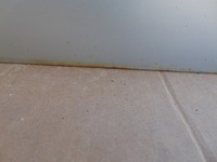 фото thumb №10, Дверь правый задняя toyota hilux vii lift