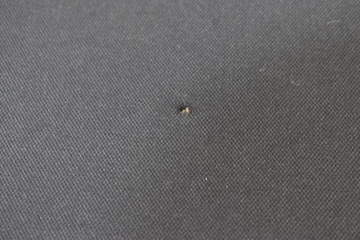 фото thumb №11, Стеля чорна стійки ручки захисні накладки 96767530ze citroen ds4 10-16