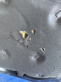 Капот ford kuga 3 рестайлінг  mk3 Недорого, фото thumb