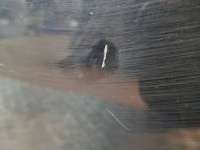 фото thumb №7, Vw golf vii sportsvan крышка багажника крышка багажника цвет lc9x