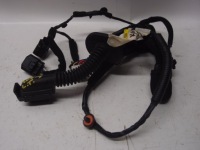 фото thumb №1, Електропроводка двері лівий задня kona electric