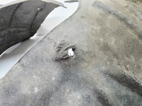 фото thumb №9, Підкрилок тканинний правий перед audi q5 fy 80a821172e