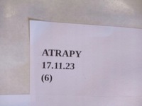 фото thumb №7, Рамка хром решітка решітка радіатора seat ateca рестайлінг 2020+