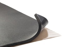 фото thumb №1, Ctk elastic 10 - піна wyciszająca hałas drogowy