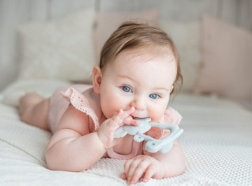 GiliGums KOALA Teether Успокаивающий при прорезывании зубов S