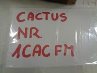 фото thumb №16, Citroen c4 cactus заднє сидіння сидіння комплект