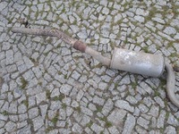 фото thumb №8, Volvo v50 s40 ii c30 c70 ii 2.0d 136km 04- гаситель средний