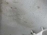 фото thumb №10, Kia carnival 2007 накладка / решётка радиатора / решётка радиатора верхний радиатора 863504d000