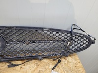 фото thumb №10, Решётка радиатора решётка радиатора бампер перед jaguar xk ii xk8 xkr x150 x 150 06-