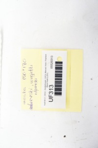 Uf313 audi a6 c7 ^ капот phantom чорний  перламутр lz9y в Україні, фото thumb