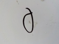 фото thumb №2, Volvo v60 12- капот кришка kpl