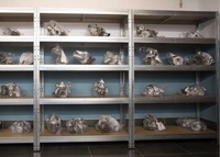 фото thumb №10, Fabrycznie nowa турбіна turbo ford focus c-max fiesta 1.6tdci 109 km 753420