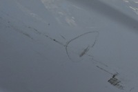 фото thumb №8, Ford fiesta mk8 дверь левый задняя левая задние hh