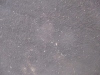 фото thumb №13, Заднє сидіння задня задня напівшкіра ford kuga mk1