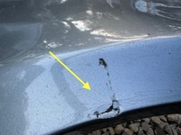 фото thumb №16, Bmw 5 v g30 g31 m-pakiet 17-24r бампер перед передній pdc 8064928