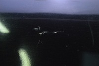 фото thumb №11, Бампер зад задній 197 pdc mercedes s-klasa w220 98-02