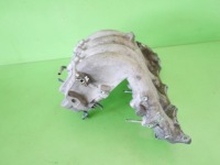 фото thumb №7, Коллектор всасывающий honda accord v ce8 2.0 16v 96-98