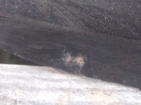 Кришка багажника багажника задні vw golf v hb 5d Зі Шроту, фото thumb