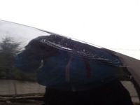 фото thumb №3, Капот крышка двигателя renault clio 4 iv 2012-2020