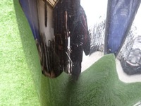 фото thumb №7, Mini cooper r55 r56 r57 s 06- капот