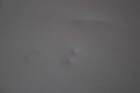 фото thumb №6, Захист сонцезахисна eu ford transit 5 v 05r