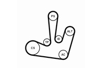 фото thumb №2, Набор ремни многоручейковых с ролики mitsubishi carisma space star