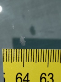 фото thumb №4, Стекло передняя mercedes w177 18- ka se hu or kamy