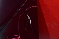 фото thumb №7, Крышка багажника багажника задняя задняя czarna ford kuga 3 iii mk3 st-line 19-21