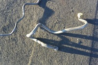 фото thumb №7, Шланг топлива 3.0b quattroporte ghibli levante