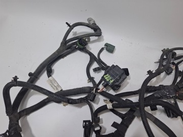 фото thumb №9, Установка джгут двигуна renault kangoo ii iii рестайлінг z.e. 13-21 #7888