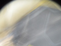 фото thumb №10, Volvo s60 v70 капот + шумоизоляция 451-46