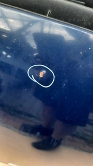 фото thumb №3, Капот opel zafira a 02r