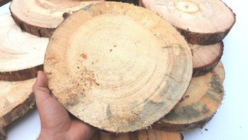 ДЕРЕВЯННЫЙ ПЛАСТИК, ДИСК СОСНОВОЙ ШТАМПЫ, 25-30 СМ, 1 ШТ.