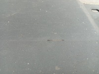 фото thumb №5, Ford transit connect 14-18 молдинг порог левая dt11-r10155-a