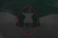 фото thumb №9, Mini cooper countryman r60 2021 перед сторона права двері передні