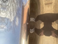 фото thumb №6, Дверь левая задние bmw f10 b90 sophistograu