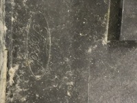 фото thumb №8, Explorer 20- молдинг крыла правая задняя lb5bs291c20