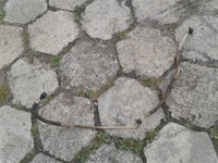 фото thumb №6, Шланг усилителя wąż fiat doblo i 1.6 b 00-04r