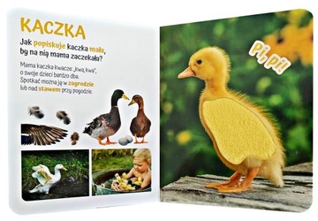 КНИГА КНИГА ТАТТ THE COUNTRY ANIMAL Z