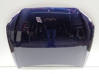 фото thumb №1, Капот крышка двигателя seat exeo 3r 3r0 08- номер 48285