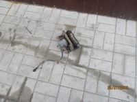 фото thumb №1, Суппорт тормозной правый перед honda cr-v iii 2.0