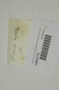 фото thumb №5, Hb470 audi a4 b9 2.0tdi насос wody