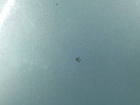 фото thumb №12, Капот renault scenic ii ted47