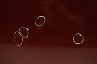 фото thumb №7, Nissan juke f15 двері правий перед передні nahr