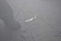 фото thumb №10, Lexus is iii дверь правый перед передние