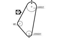 фото thumb №9, Ремінь розподільного валу opel 1.6 ct558 opel ascona, corsa, k